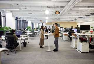 罗平绿色食用菌规划