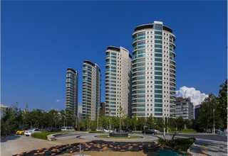 深圳大型金龙鱼批发