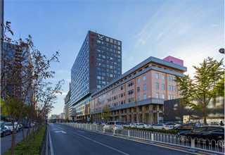 上海微波隧道炉价格